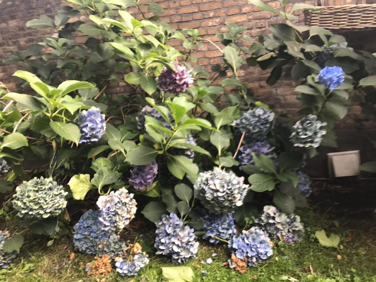 B&B Charming Farmhouse Prinsenbeek Kültér fotó