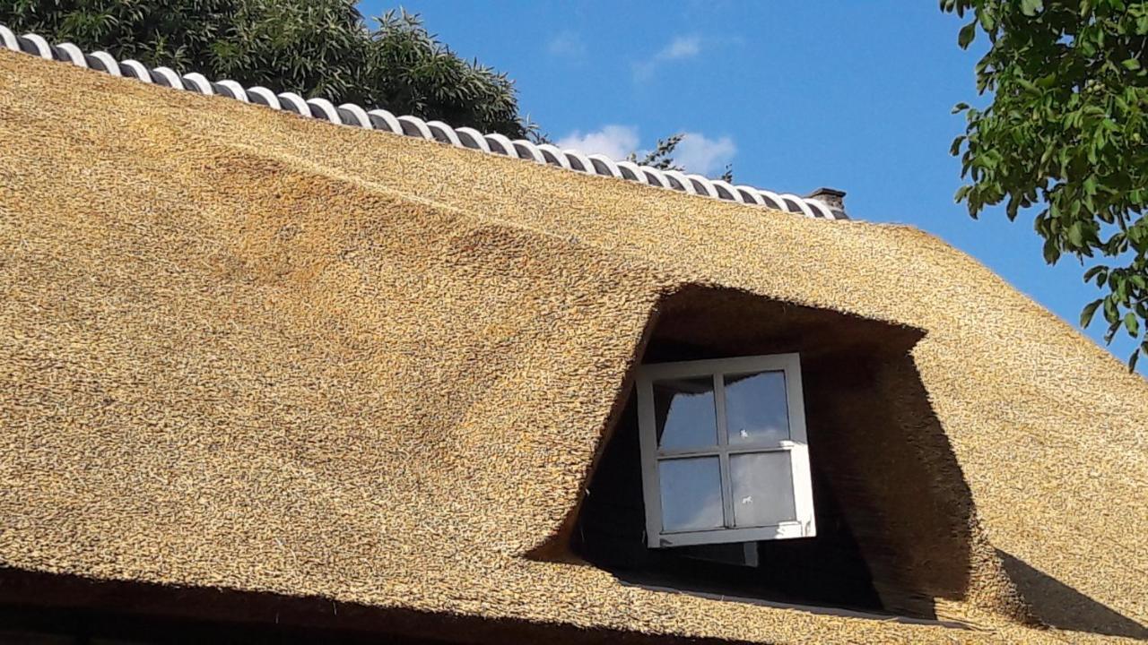 B&B Charming Farmhouse Prinsenbeek Kültér fotó